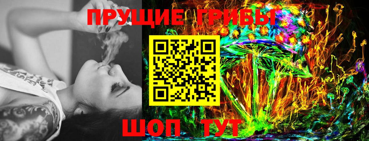 Среднеуральск  сколько стоит  Вход с VPN  Галлюциногенные грибы Psilocybe 